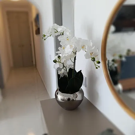 Casa Patricia * 阿尔布费拉